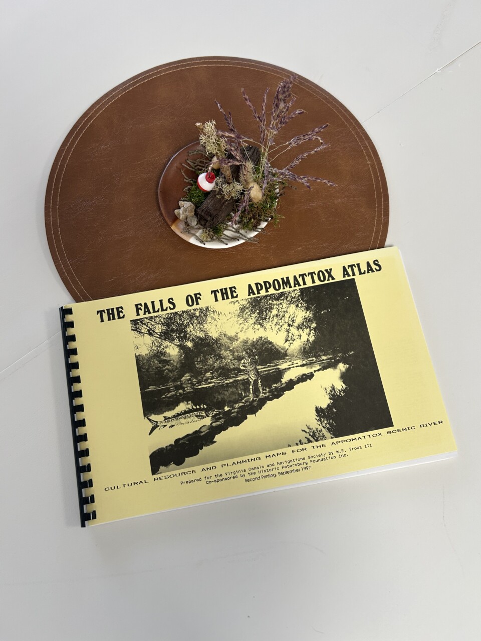 Falls of the Appomattox Atlas