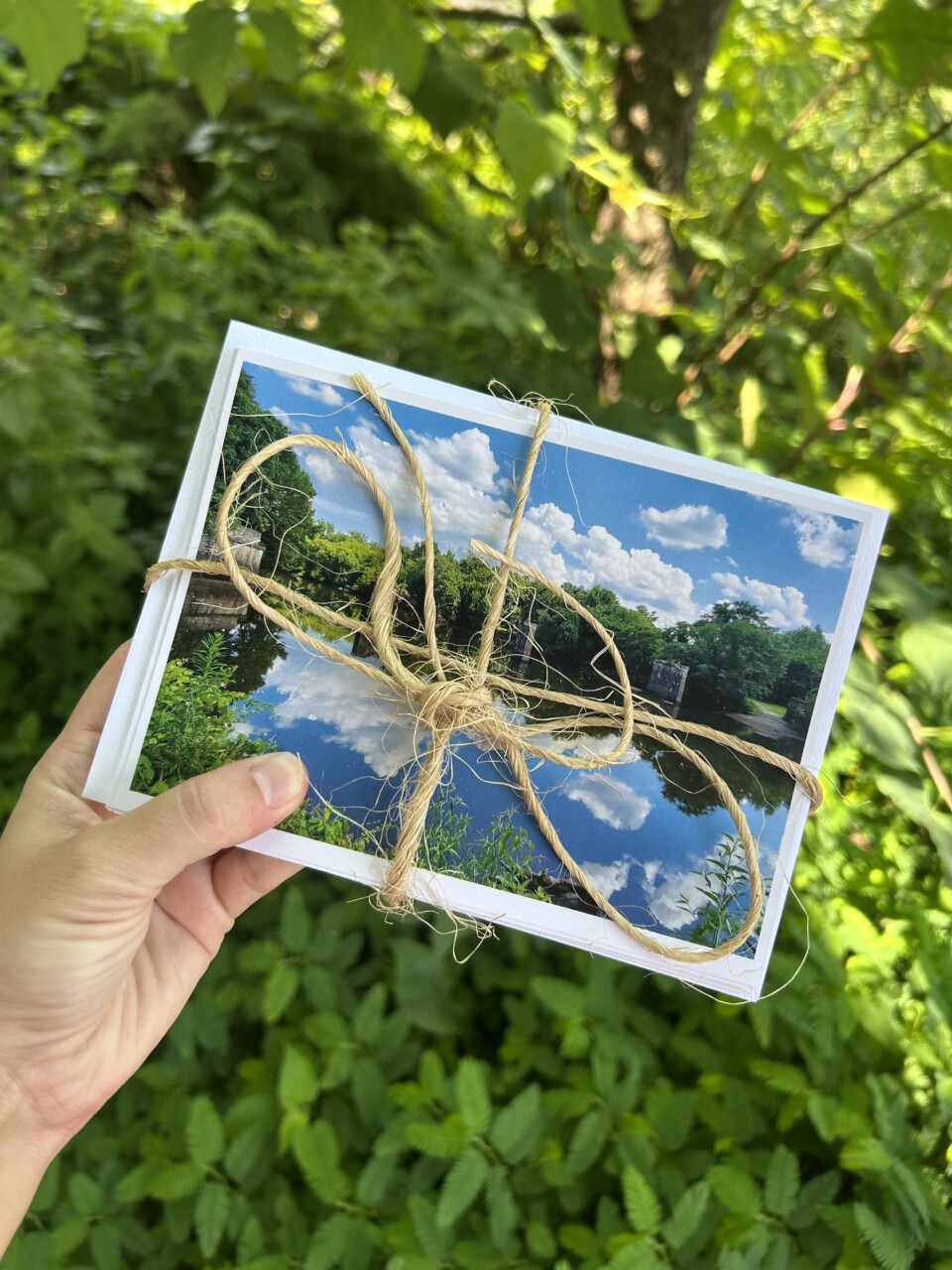 Appomattox River Notecard Bundle