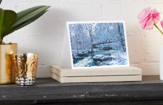 Appomattox River Notecard Bundle - Image 4