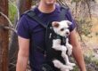 Executive Director, Jackson Bartlett, on a hiking trail with his dog, Pepe, strapped to his chest in a dog carrier.
