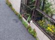 Begonia cucullata from South America expanding the footprint of a tiny Japanese garden space.
